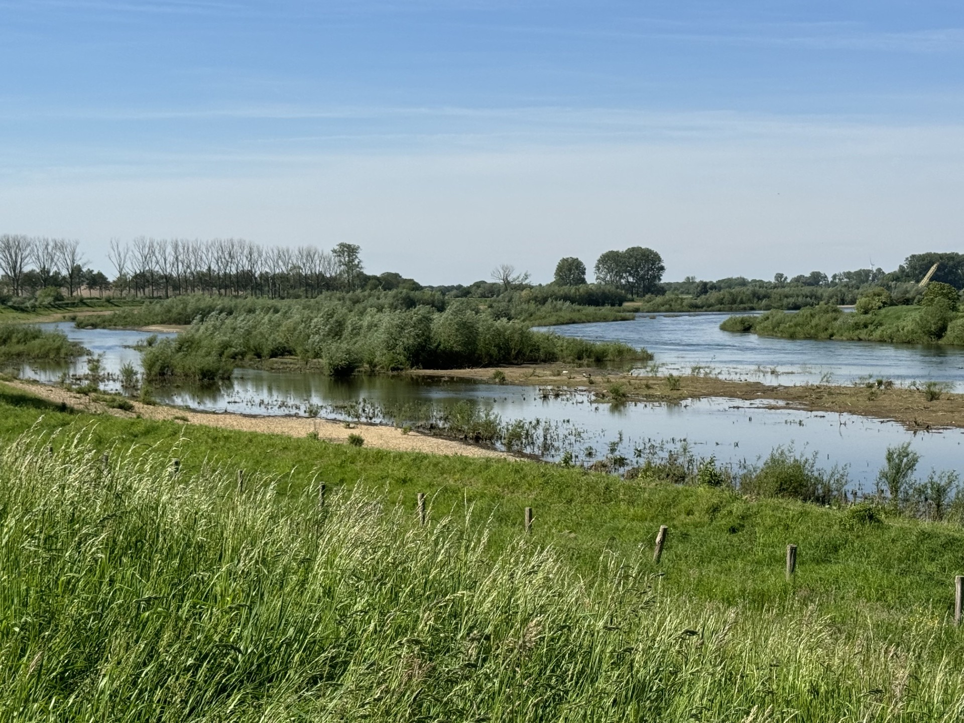 Natuurontwikkeling