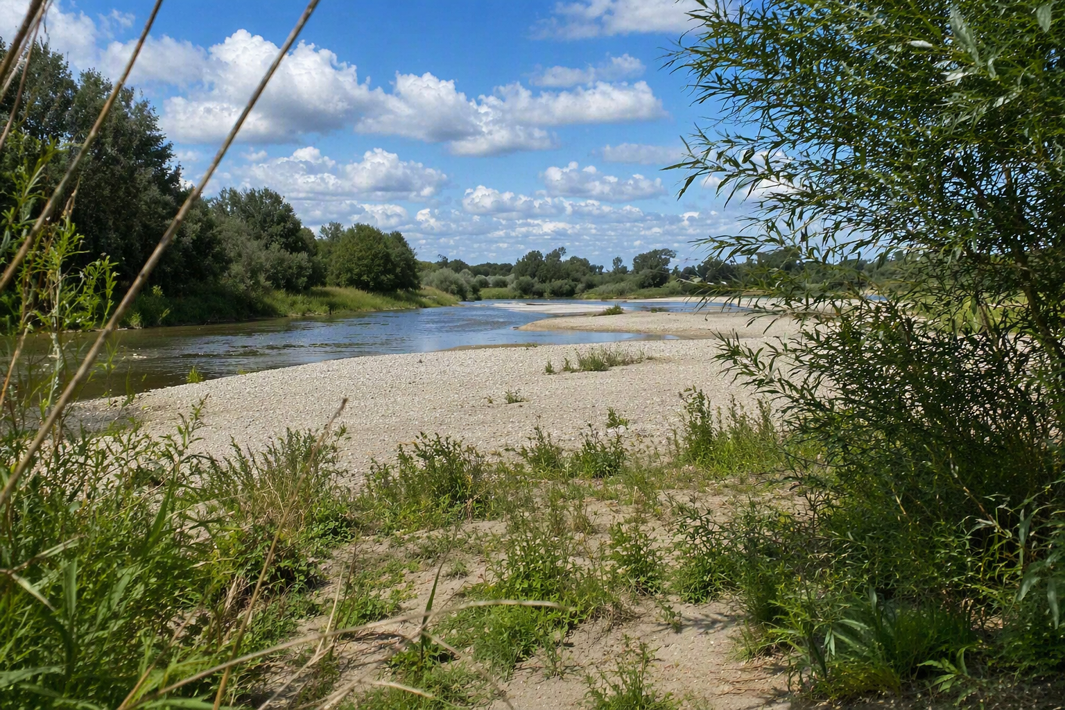 CoPilot - Rivier met natuurlijke oevers